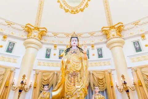 Куриный король
