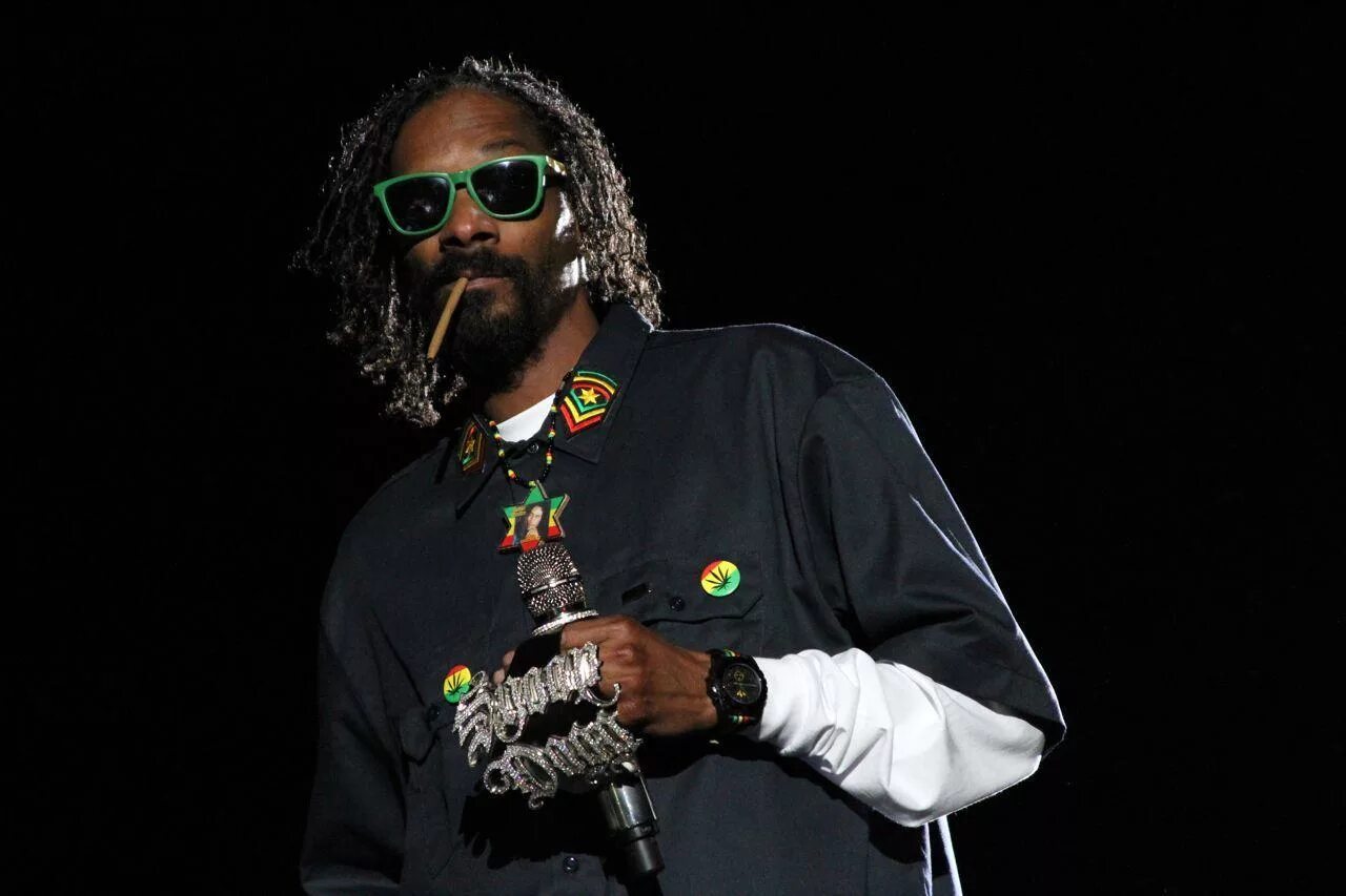 Snoop Dogg. Рэпер снуп дог. Swamp Dog. Снуп дог 2021. Snoop dogg fly high