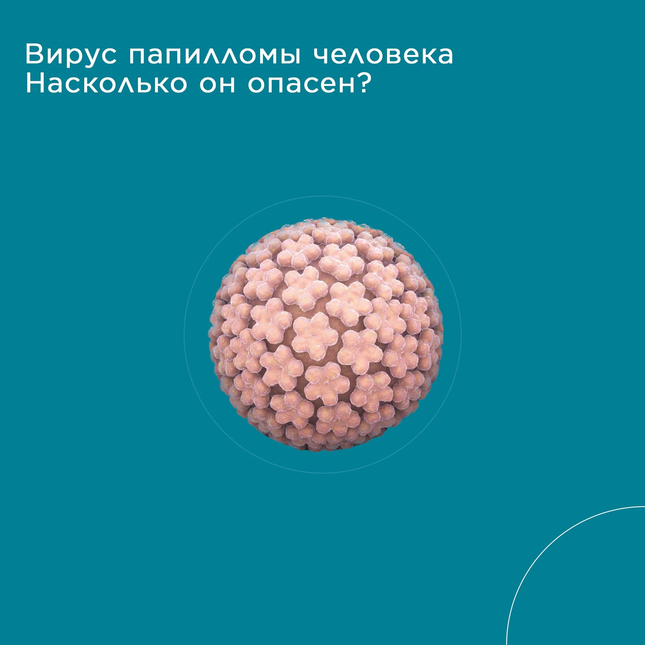 Насколько вирус. Вируспопиломы человека. Вируспаппиломы человека.