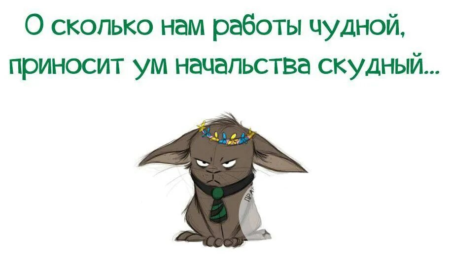 Глупый задержать. Юмор про работу. Статусы про начальника. Прикольные цитаты про работу. Смешные афоризмы про работу.