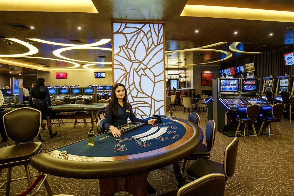 Ycasino минск. Ycasino минск. Игорный дом. Ycasino минск. Ycasino минск.