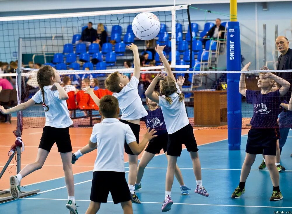 Волейбол дети. Школа волейбола иркутск starvolley гидаспов. Мини волейбол. Японский мини волейбол. Секция по волейболу в школе.