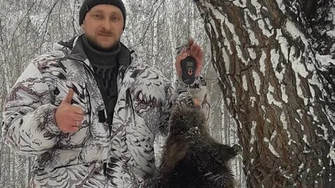 Бобровая приманка