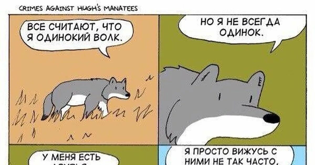 Доброе утро волк. Волк одиночка мем. Волк одиночка мем. Волк одиночка по жизни. Я одиночка.