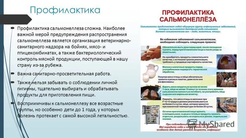 Фактором передачи сальмонеллеза является. Профилактика сальмонеллеза биология 8 класс. Профилактика болезни сальмонеллез. Сальмонеллез профилактика распространения инфекции. Профилактика сальмонеллеза микробиология.