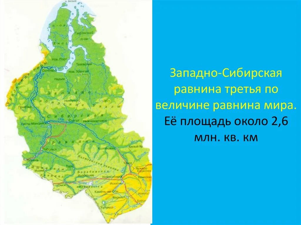 Тест по теме западная сибирь. Равнины Западной Сибири на карте. Западно-Сибирская равнина климат карта. Площадь Западно сибирской равнины. Запод Сибирская Ровнина.