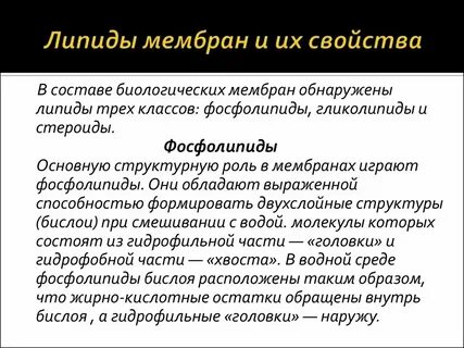 Характеристика липидов мембран