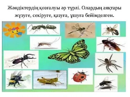 Бритни Спирс порно онлайн көру