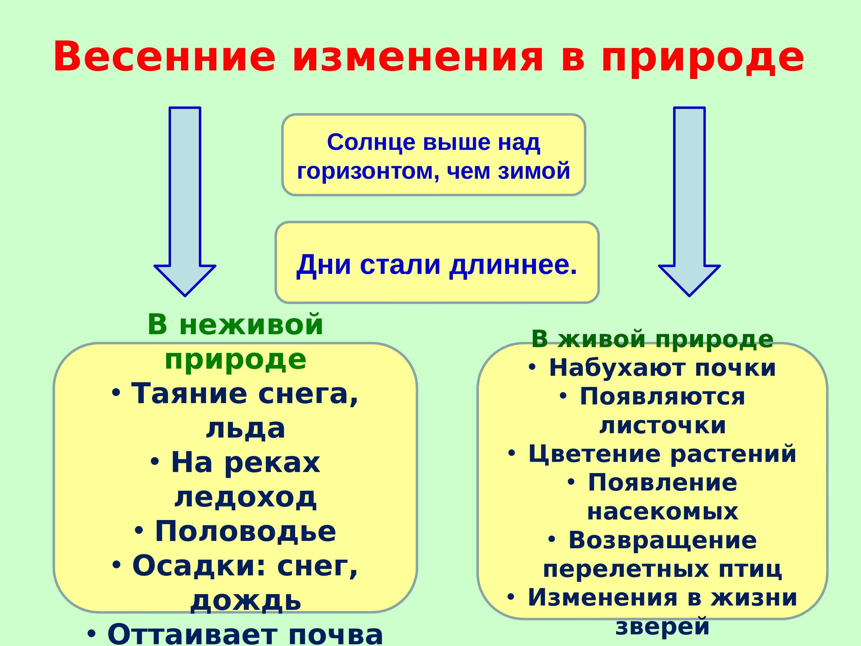 Приведи примеры явлений живой природы. Изменения в природе весной. Сообщение весенние изменения в природе. Сезонные изменения в живой природе весной. Весенние изменения в живой природе 2.