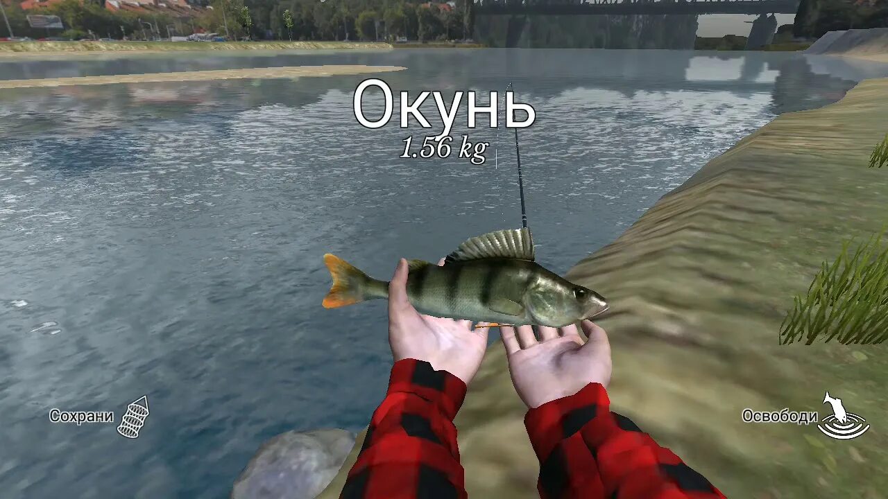 Симулятор щуки. Рыбалка симулятор щука. Ultimate Fishing Simulator сом. Ultimate Fishing Simulator щука. Игры рыбалка на щуку