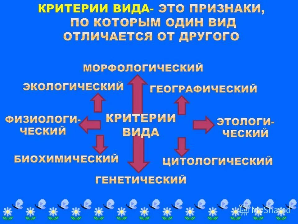 Потенциал созидания и потенциал разрушения в законе самосохранения. Сумма внешних и внутренних признаков. Совокупность всех генов организма. Генотип - совокупность всех. Внешние признаки организма.