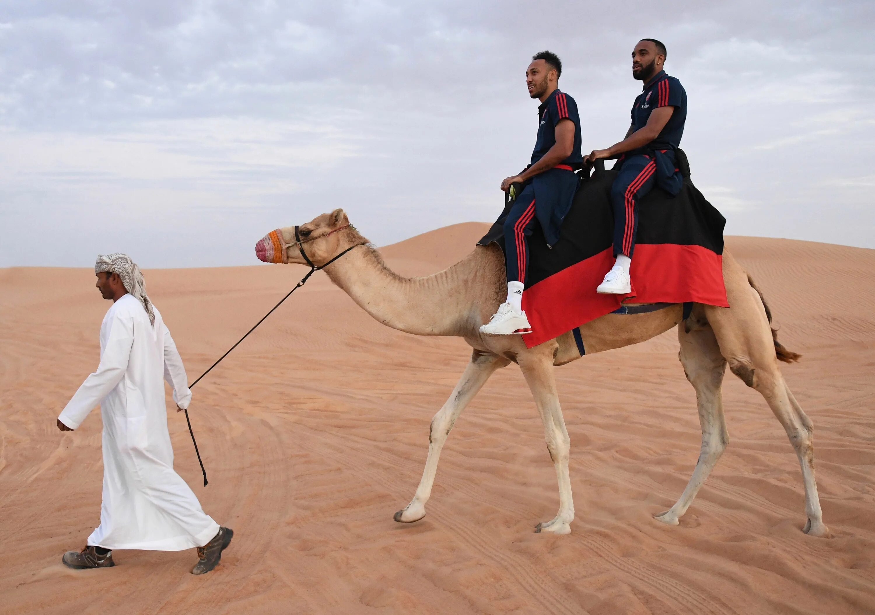 Пустыня ездить. Бедуин на верблюде. Бедуины Саудовской Аравии. Бедуины Марокко. Бедуины в Египте.
