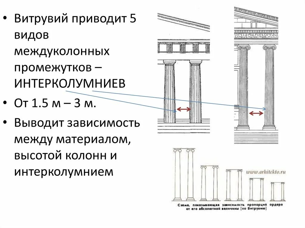 Ордер представителя. Витрувий пропорции ордера. Интерколумний в древней Греции. Архитектурные ордера древней Греции. Архитектурный ордер Витрувий.