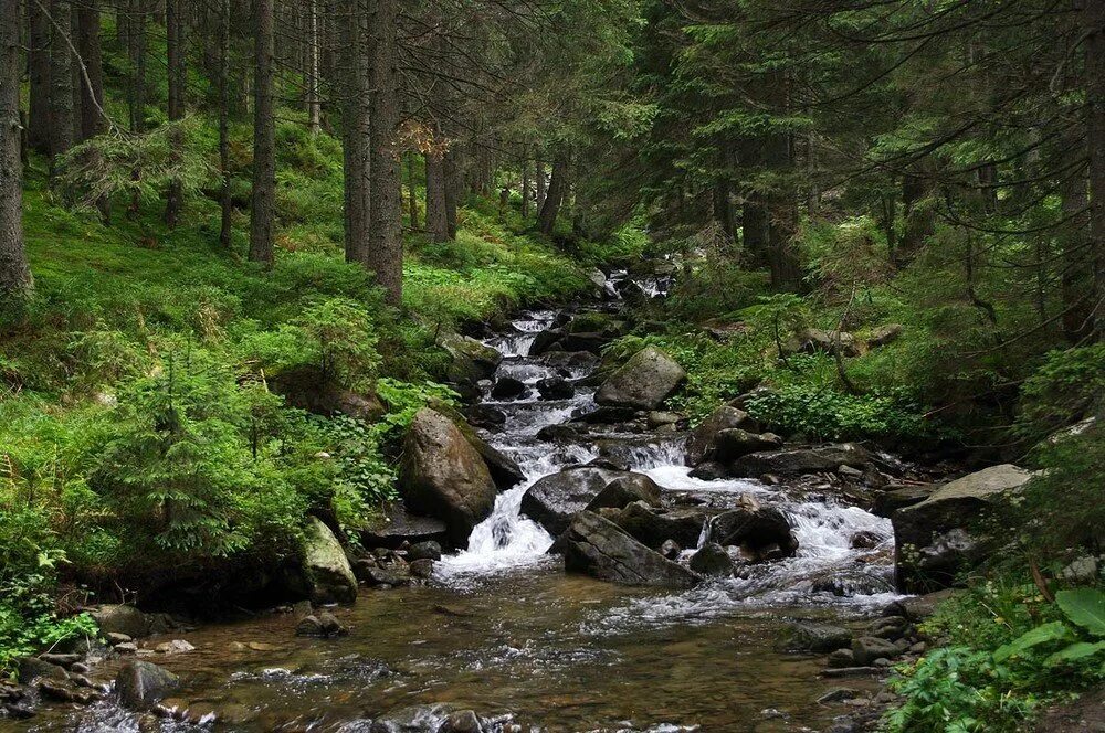 Под горой журчит. Под горой журчит. Родник в горах. Родник ручей река озеро. Дрожжин весеннее царство.