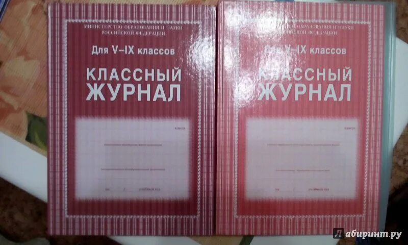 Классный журнал 4 класса. Классный журнал. Классный журнал 5-9 класс. Классный журнал школьный. Классный журнал класс.