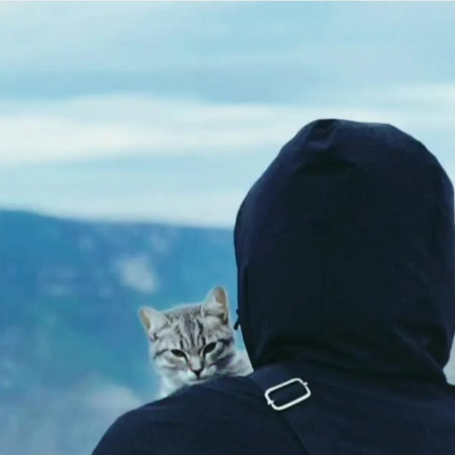 Парень со спины с котом. Парни с котом мусульманские. Мусульманские фото на аву для мужчин. Картинка для мусульман мужчин с кот. Вацок фото