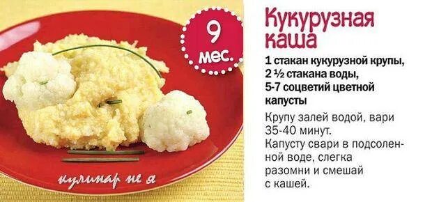 Кукурузная каша на молоке как варить. Колько варить кукурузную кашу. Как варить кукурузную крупу. Сколько варить кукурузную крупу. Кукурузная соотношение воды