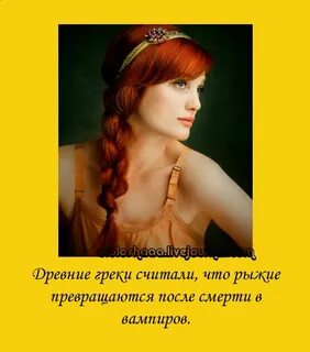 Рыжие приколы