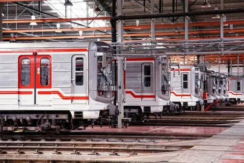 Поезд 81 какой