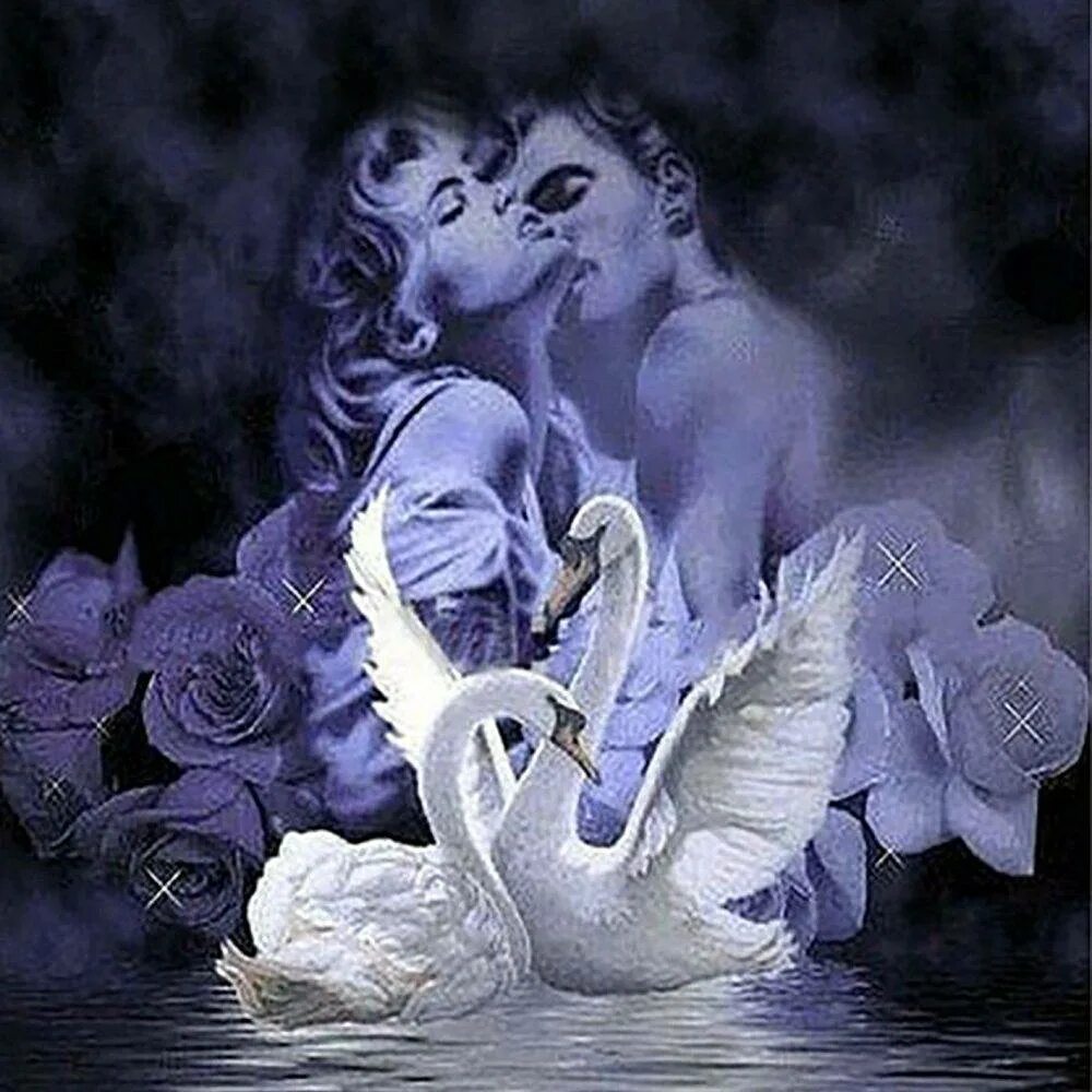 Лебединая верность. Любовь и лебеди. Лебеди с розами. Поцелуй ангела. Верность матери