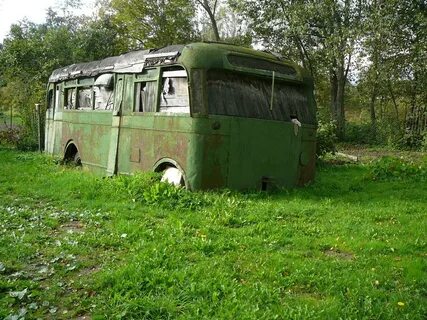 Автобус плодовое