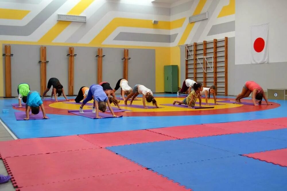 академии спорта минск. проект спортивного комплекса. спасская 6 тюмень академия спорта. спортивный комплекс академия биатлона красноярск зима. спортивный комплекс академия.