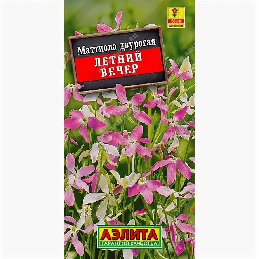 Отзыв о Семена Аэлита "Маттиола Летний вечер" По аромату этим цветам нет равных!