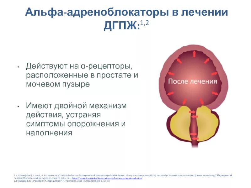 Простатиты симптомы и лечение аденомы простаты. Альфа 1 адреноблокаторы при аденоме простаты. альфа блокаторы при аденоме предстательной железы. альфа-адреноблокаторы препараты при простатите. альфа 1 адреноблокаторы при гиперплазии простаты.