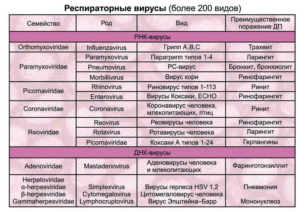 Сколько при бронхите держится температура у ребенка. Классификация вирусов- возбудителей респираторных вирусных инфекций. Вирусы ОРВИ классификация. Классификация острых респираторных вирусных инфекций. Разновидности ОРВИ вирусов.