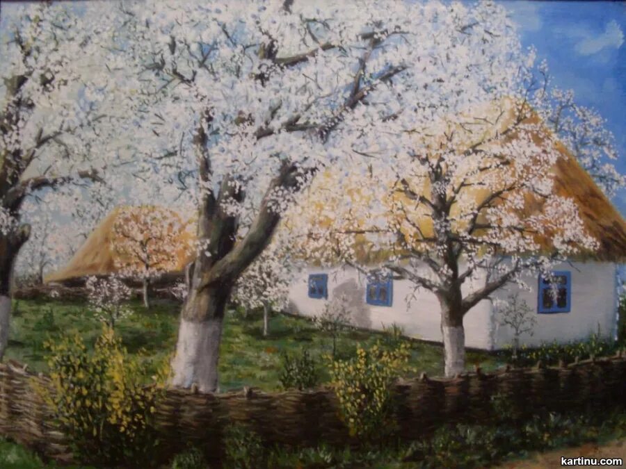 моя хата в вишневом садочку песня