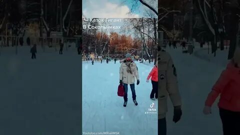Гигант сокольники