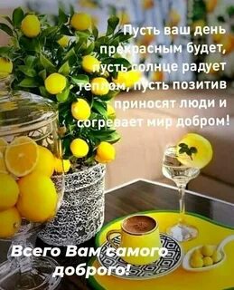 И снова утро доброго дня