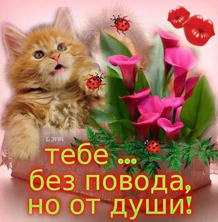 Картинки красивые с пожеланиями от души