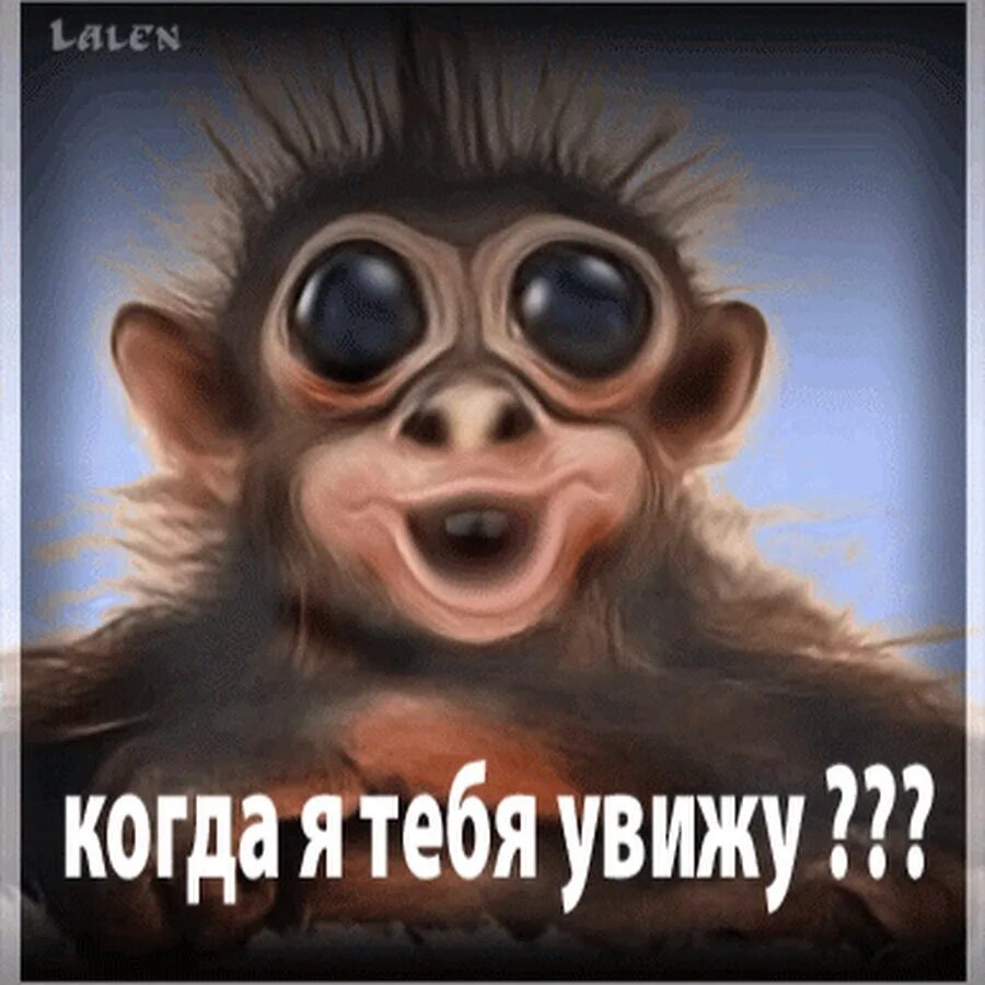 Все вижу прикол. Скучаю картинки прикольные. скучаю прикол. скучаю смешные картинки. смешные картинки я скучаю по тебе.