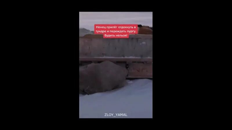 рыжий папа рыжий дед рыжим стал весь белый. авария в яр сале на снегоходе. хорошо лежать в кроватке. чум чум новосибирск. почему не рекомендуется спать на животе.