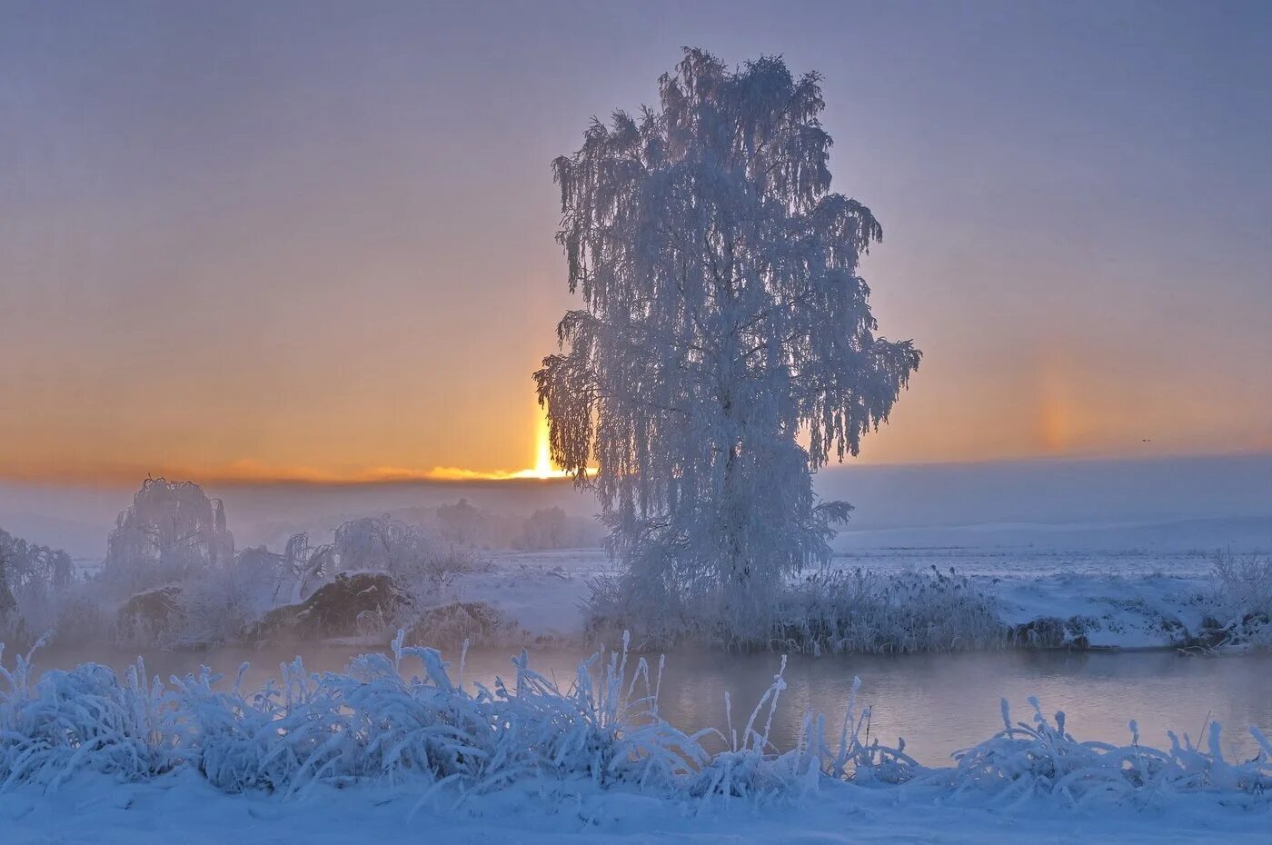 Снежная пелена. Зимнее утро. С зимним утром. Утро зима.