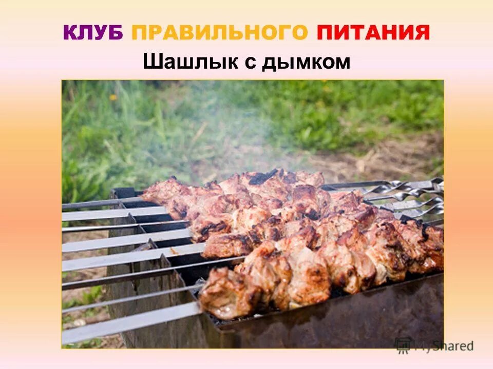 Шураско бразилия. Шашлык. Блюдо для шашлыка. Шашлык правильное питание. Можно ли шашлык на диете.