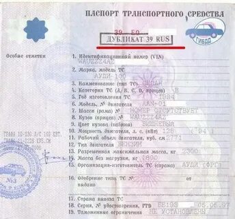 Выглядит дубликат