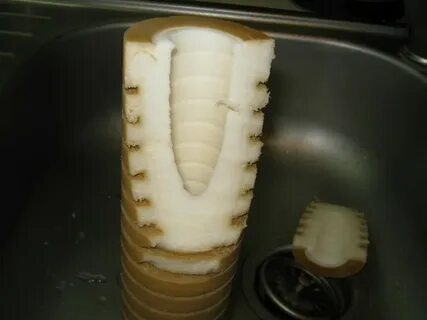 Мутная вода после замены фильтра