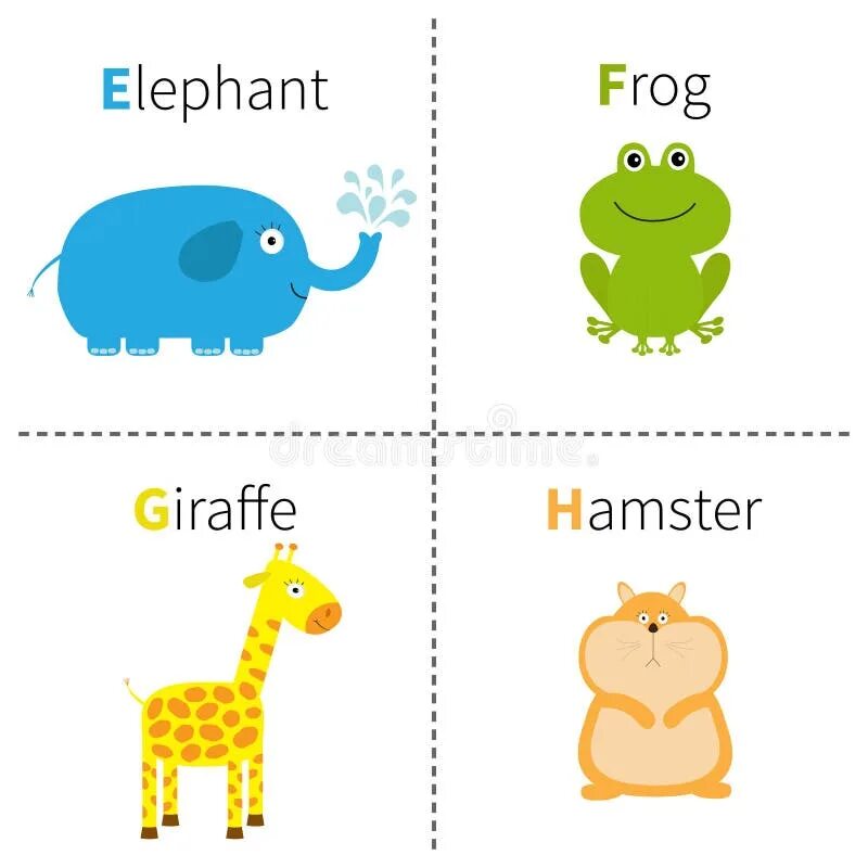 Elephant frog. Giraffe английский для детей карточки. Звери карточки для английского языка хомяк. Карточка с животным хомяк. Хомяк карточка по английскому.