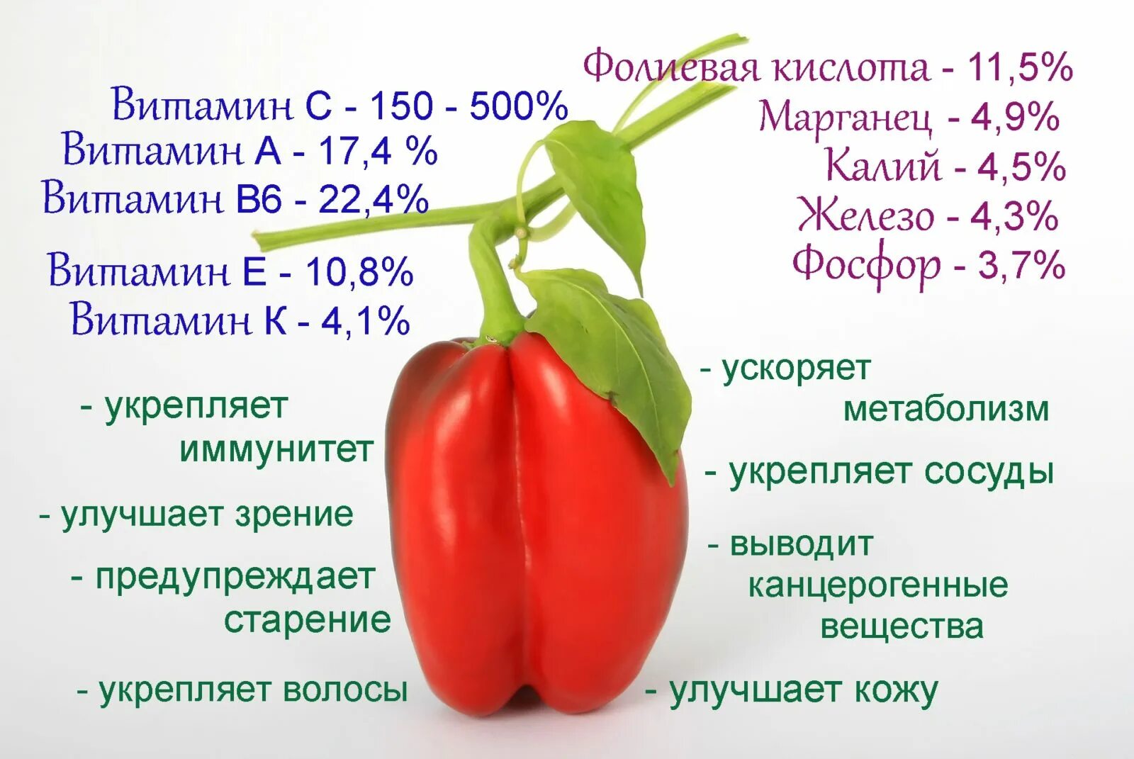 Чем полезен сладкий перец. Что содержит болгарский перец. Перец сладкий что содержит. Пищевая ценность болгарского перца. Что содержится в болгарском перце.