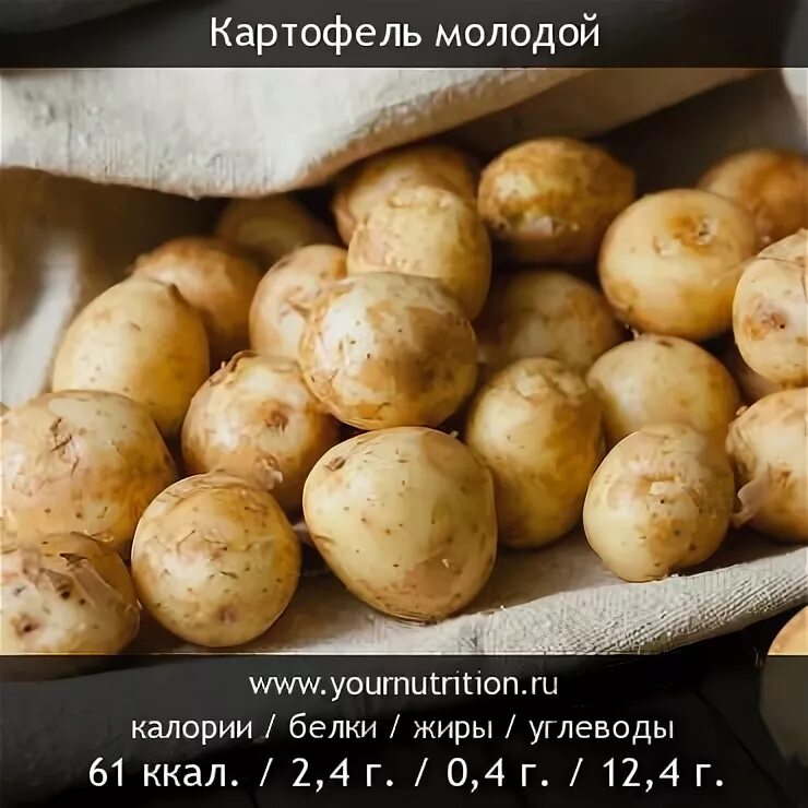 Сколько калорий в молодом картофеле. Калорийность молодого картофеля. молодой картофель ккал. 100 грамм картофеля. молодая вареная картошка калории.