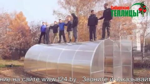 Сайт сибирская теплица