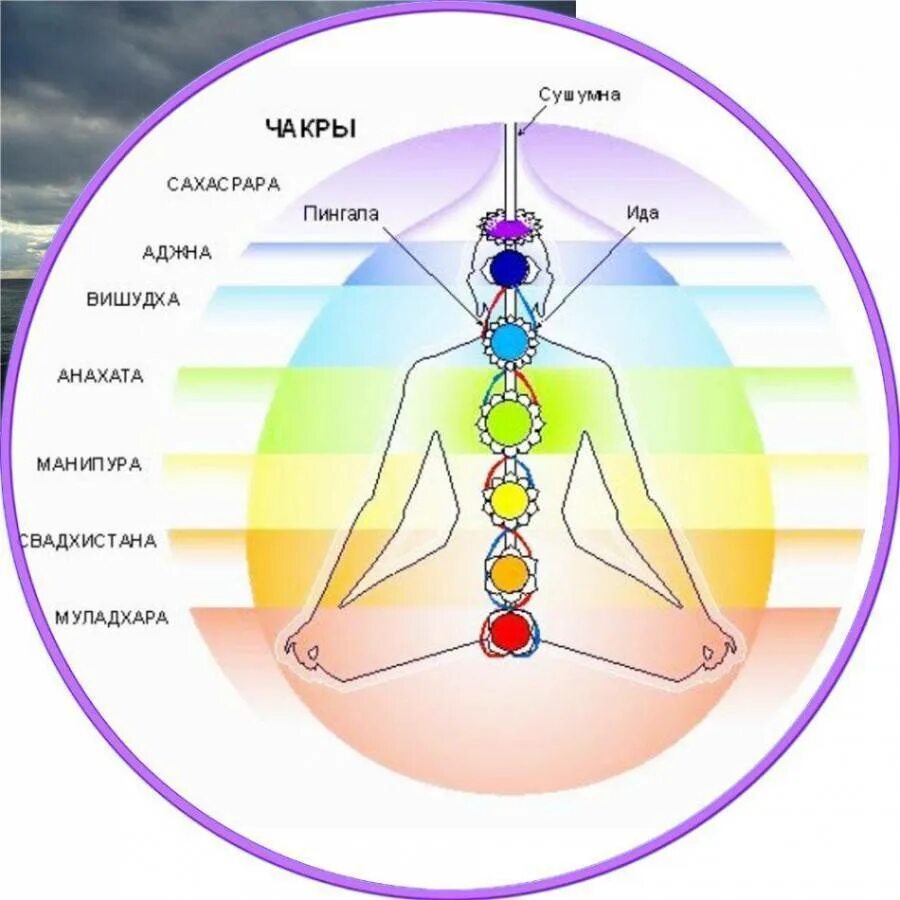 Энергетические центры человека схема расположения. 7 Чакр человека. Чакры человека Свадхистана. 2 И 3 чакра. Чакры названия и расположение