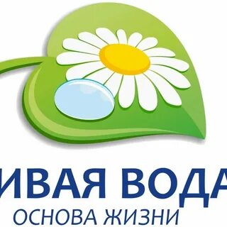 Компания живи жизнь