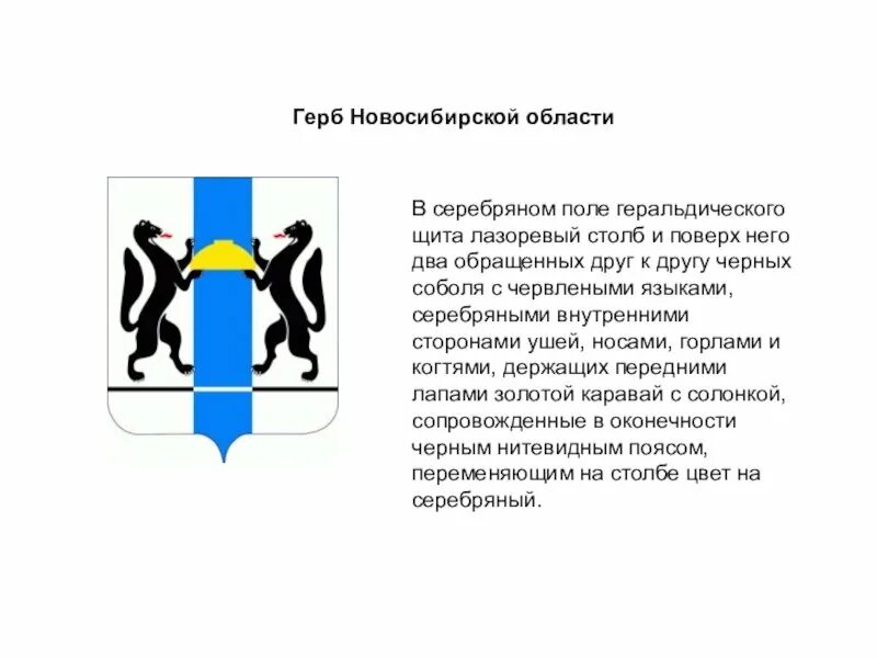 На флаг Новосибирской области отказались помещать серп и молот