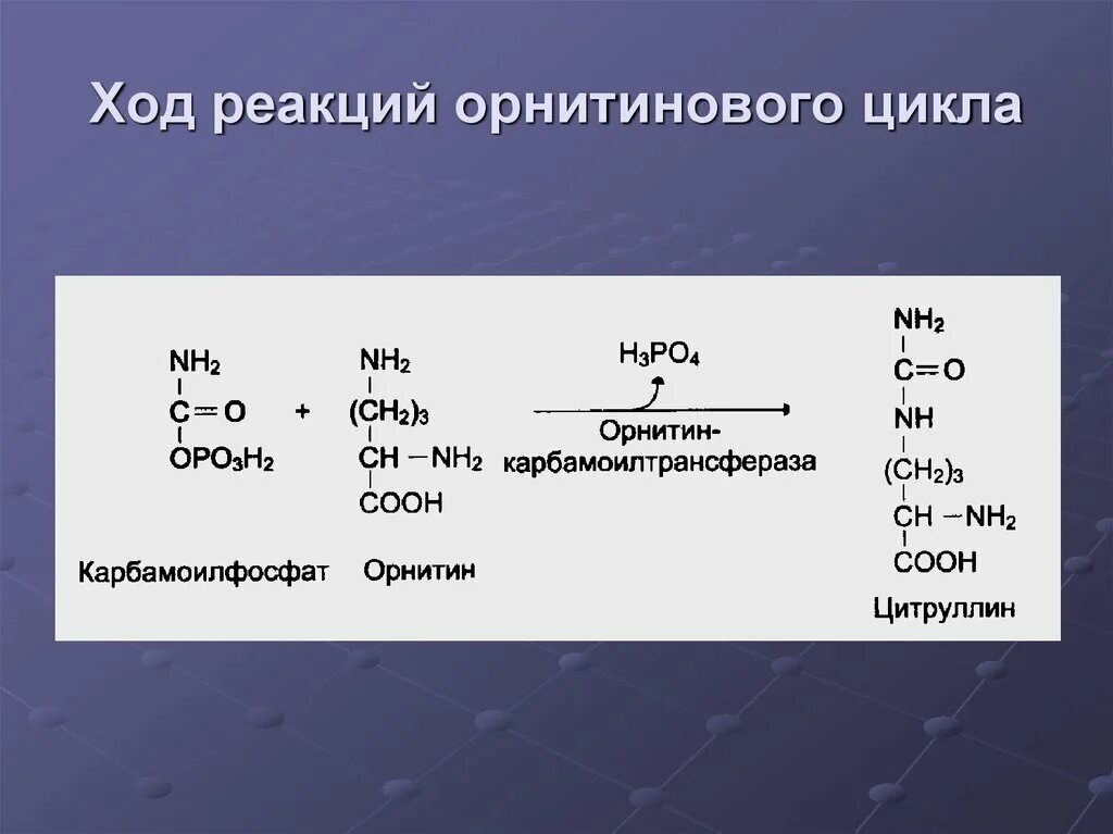 Реакции орнитинового цикла. Орнитиновый цикл реакции. Карбамоилфосфатсинтетаза. Реакция образования цитруллина. Реакции образования циклов