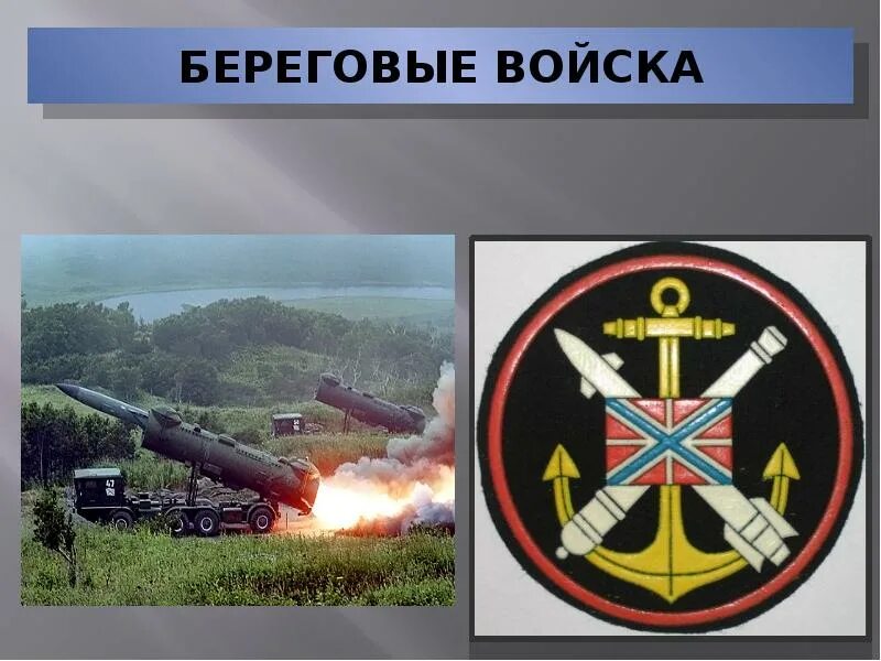 Береговые войска ВМФ России рода войск. Войска береговой обороны ВМФ. Военно морской флот береговые войска. Береговые ракетно-артиллерийские войска.