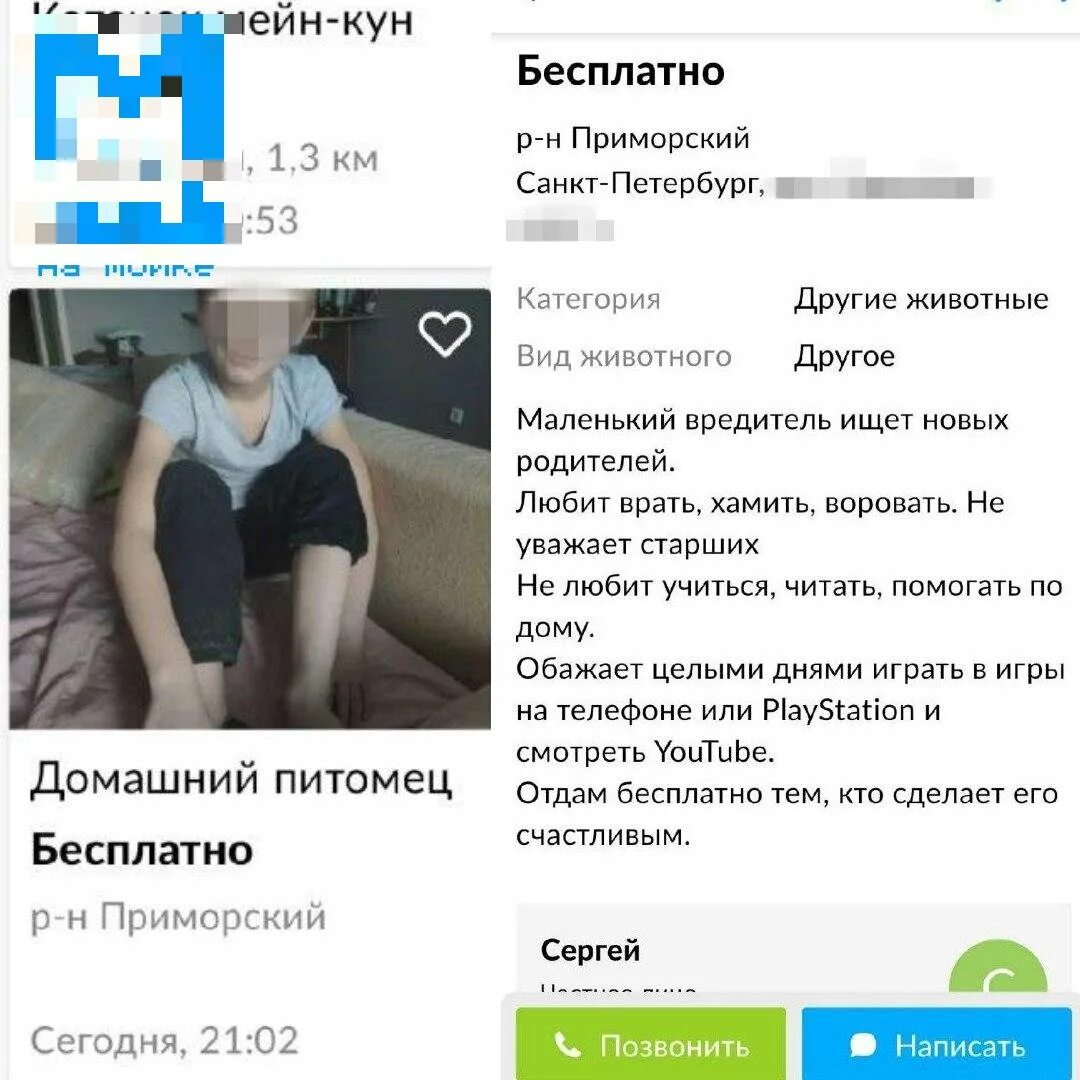 Объявления о продаже детей. Объявления о продаже детей на авито. На авито продают детей. Продам ребенка.