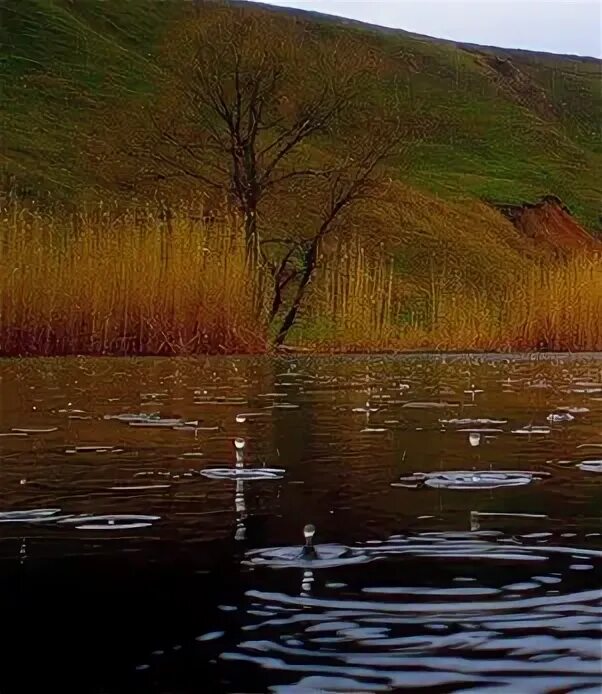 Дождь на реке. Дождь на речке. Дождь на берегу реки фото. Река Амур дождь.